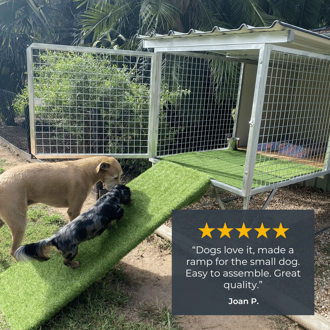 "Aussie Dog Kennels" Raised Dog Kennel