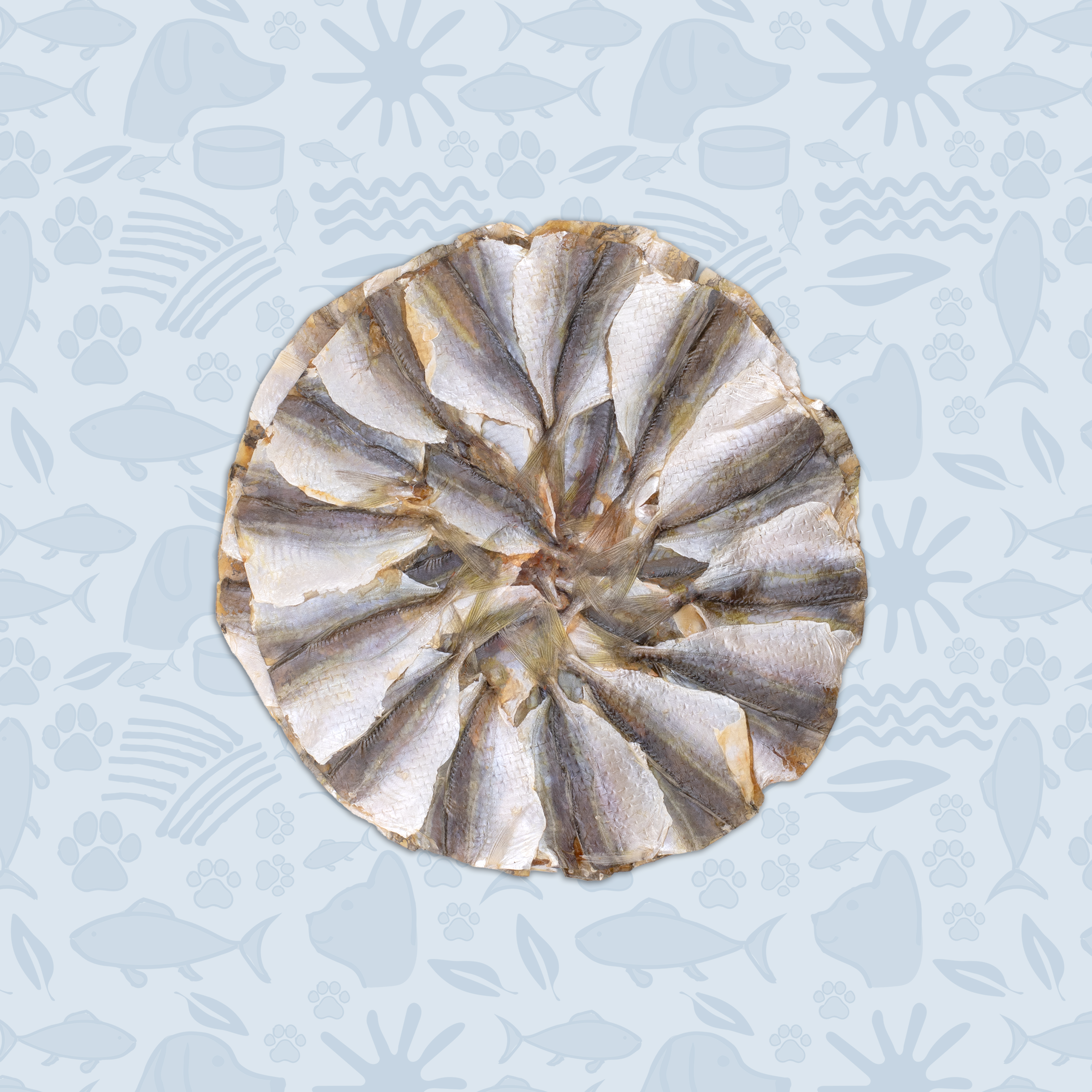 Pet Pizza - Natural Treat for Dogs & Cats by BDS Animal Health
