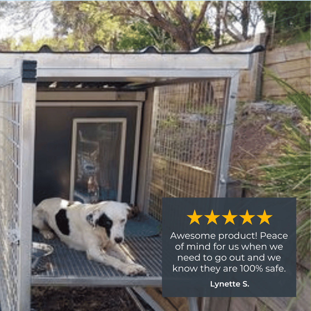 "Aussie Dog Kennels" Raised Dog Kennel