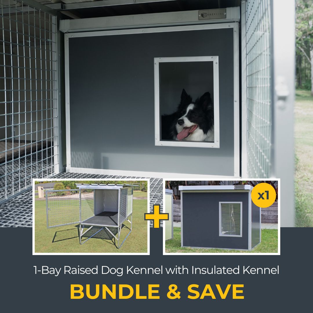 1-Bay Raised Kennel and Insulated Dog House Bundle