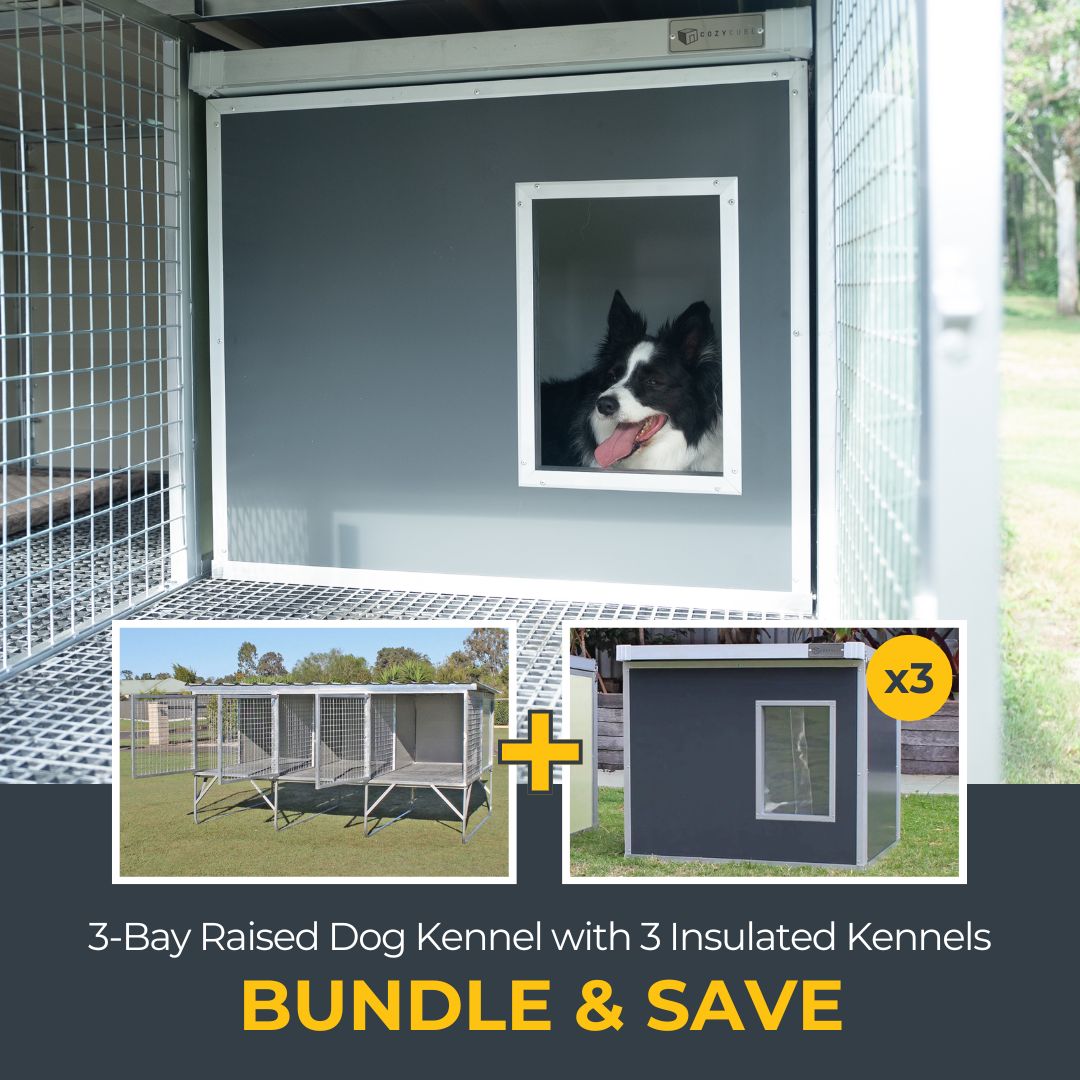 3-Bay Raised Kennel and Insulated Dog House Bundle