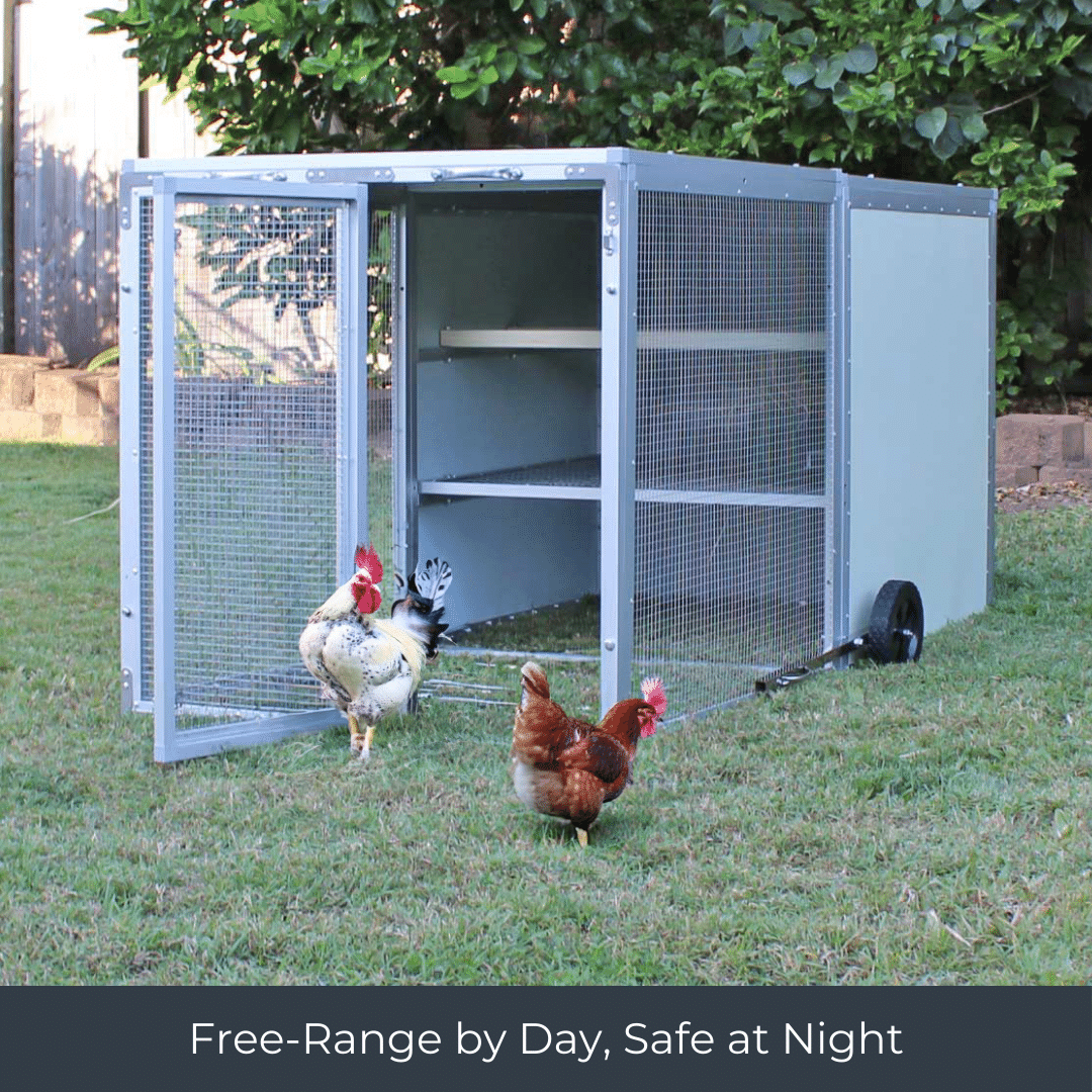 Mobile Chicken Coop / Chicken Tractor