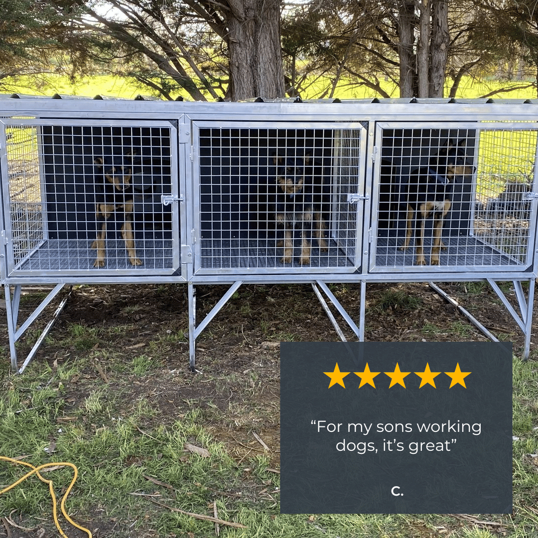 "Aussie Dog Kennels" Raised Dog Kennel