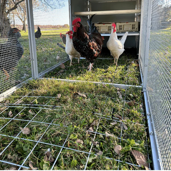 3-Panel Chicken Tractor + Mesh Floor + Canvas Cover + 2 Nesting Boxes Bundle