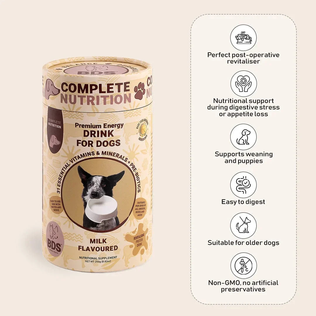 Premium Energy Enriched Drink for Dogs by BDS Animal Health