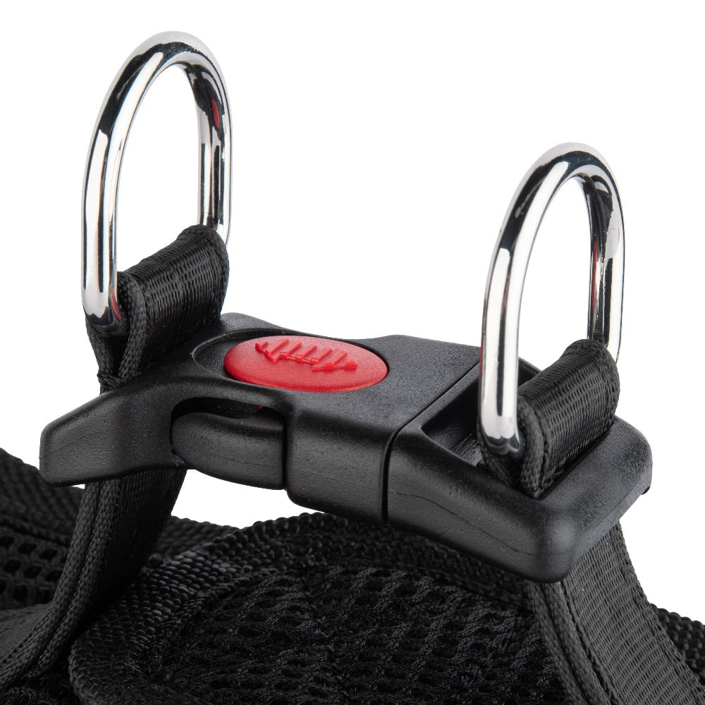[Premium Quality Anti-Theft Dog Lead & Harness Online]-Safely Secured
