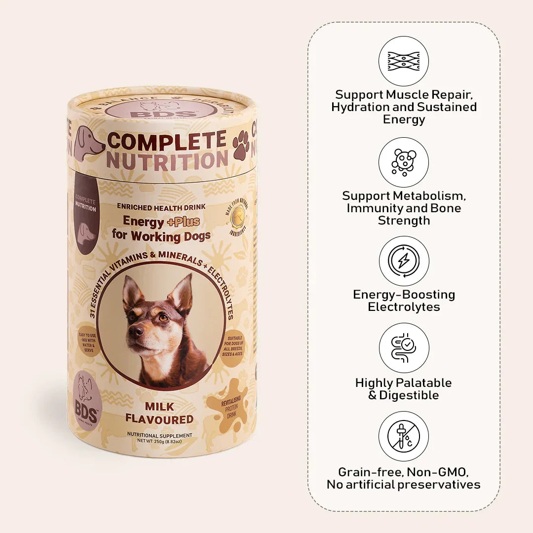 Energy +Plus for Working Dog by BDS Animal Health