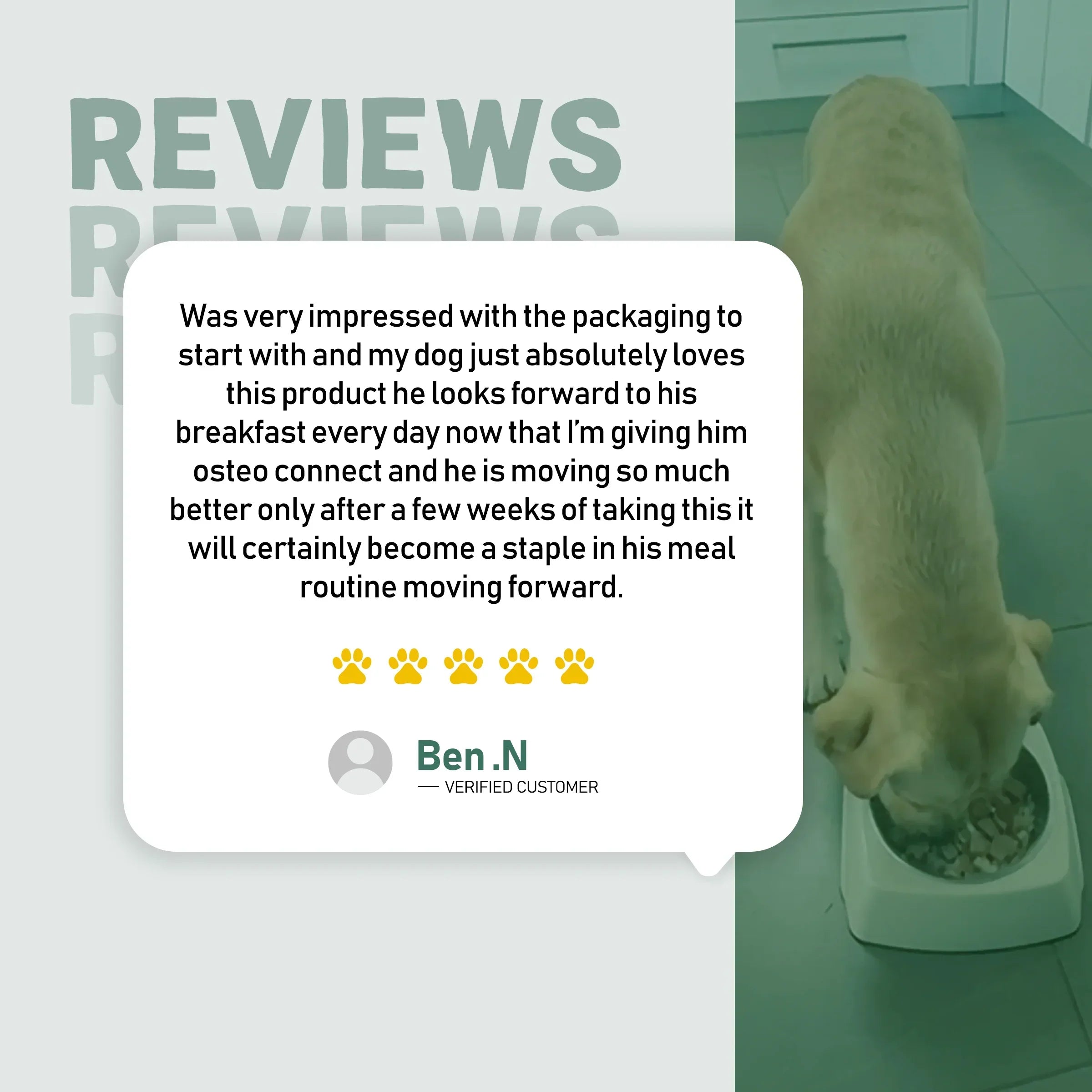 Osteo Connect - Green Lipped Mussel Joint Support for Dogs by BDS Animal Health