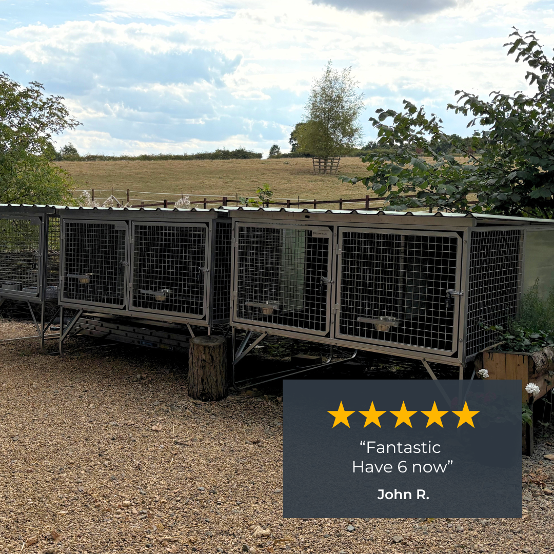 "Aussie Dog Kennels" Raised Dog Kennel