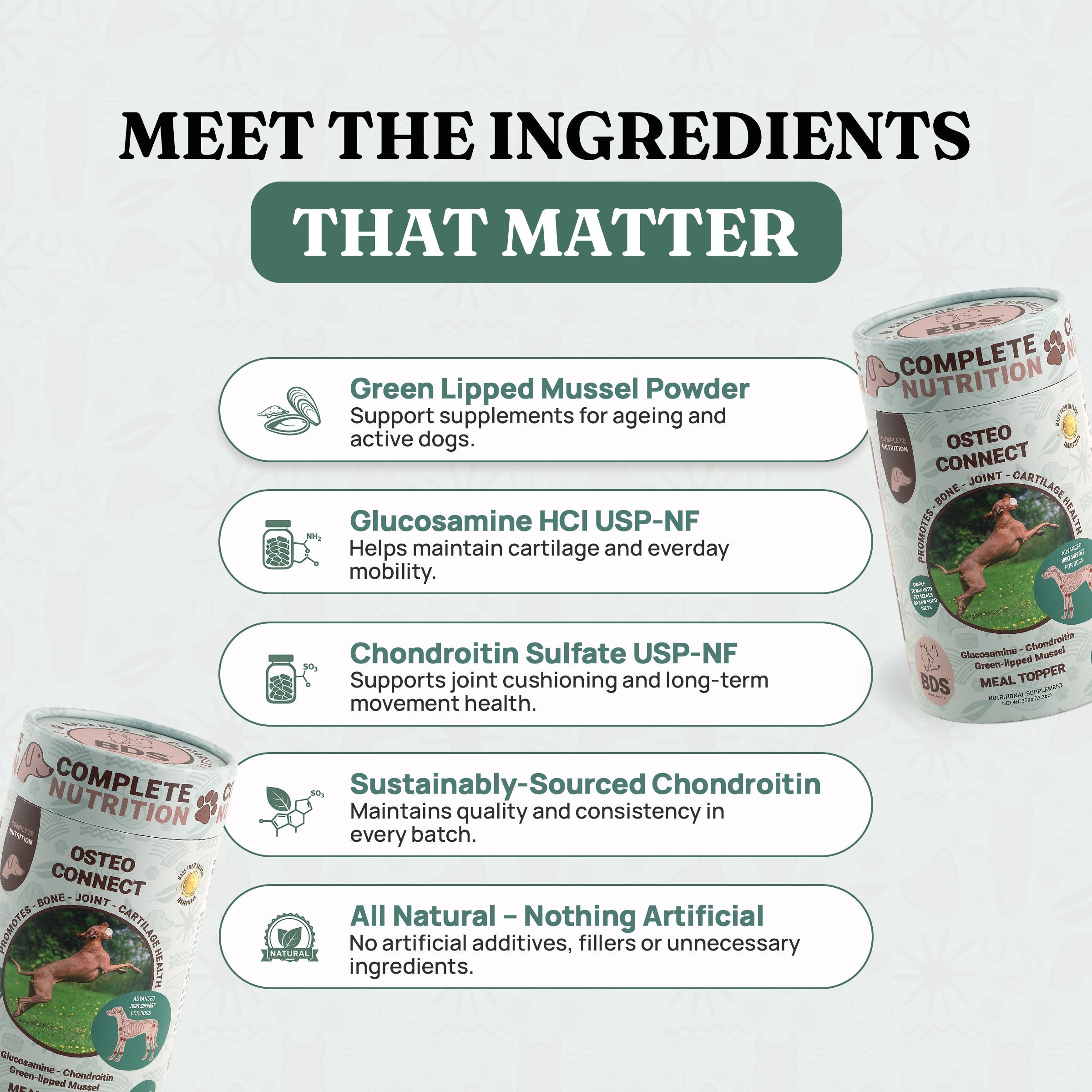 Osteo Connect - Green Lipped Mussel Joint Support for Dogs by BDS Animal Health