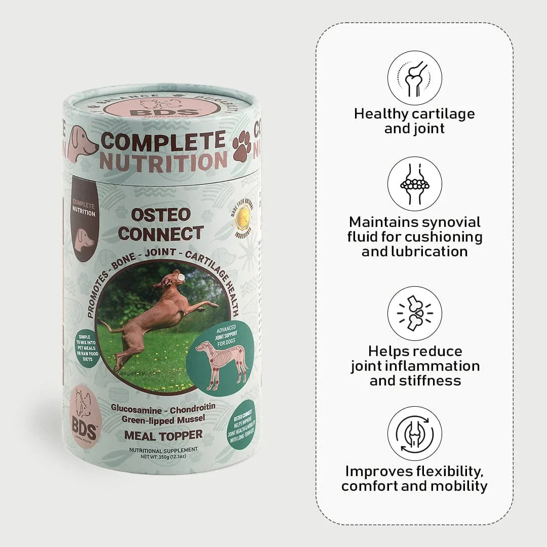 Osteo Connect - Green Lipped Mussel Joint Support for Dogs by BDS Animal Health